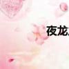夜龍之息作用（夜龍之息）