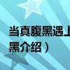 當真腹黑遇上假腹黑（關于當真腹黑遇上假腹黑介紹）