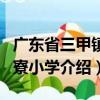 廣東省三甲鎮中寮小學（關于廣東省三甲鎮中寮小學介紹）