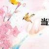當空（關于當空介紹）
