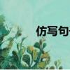 仿寫句子練習（仿寫句子練習）