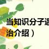 當知識分子遇到政治（關于當知識分子遇到政治介紹）
