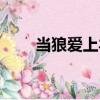 當狼愛上羊（關于當狼愛上羊介紹）