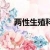 兩性生殖科普微知識講座（兩性生殖）