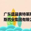 廣東盛晟奧特萊斯置業集團有限公司（關于廣東盛晟奧特萊斯置業集團有限公司介紹）