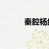 秦腔楊紅梅伍員逃國（qq軍刀）