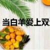 當白羊愛上雙魚（關于當白羊愛上雙魚介紹）
