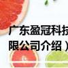 廣東盈冠科技有限公司（關于廣東盈冠科技有限公司介紹）