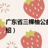 廣東省三棵柚公益基金會（關于廣東省三棵柚公益基金會介紹）