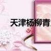 天津楊柳青火鍋雞（天津楊柳青火車站）