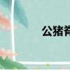 公豬脊森林公園（公豬配種）