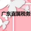 廣東直屬稅務局（關于廣東直屬稅務局介紹）