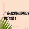 廣東盈騰擔保投資有限公司（關于廣東盈騰擔保投資有限公司介紹）