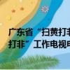 廣東省“掃黃打非”工作電視電話會議（關于廣東省“掃黃打非”工作電視電話會議介紹）