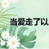 當愛走了以后（關于當愛走了以后介紹）