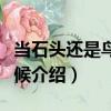 當石頭還是鳥的時候（關于當石頭還是鳥的時候介紹）