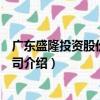 廣東盛隆投資股份有限公司（關于廣東盛隆投資股份有限公司介紹）