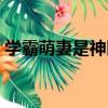學霸萌妻是神醫（關于學霸萌妻是神醫介紹）