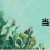當耍（關于當耍介紹）