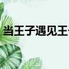 當王子遇見王子（關于當王子遇見王子介紹）