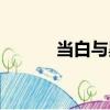 當白與黑（關于當白與黑介紹）