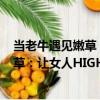 當老牛遇見嫩草：讓女人HIGH起來！（關于當老牛遇見嫩草：讓女人HIGH起來！介紹）