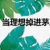 當理想掉進茅房（關于當理想掉進茅房介紹）