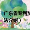 廣東省專利獎勵辦法（關于廣東省專利獎勵辦法介紹）