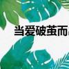 當愛破繭而出（關于當愛破繭而出介紹）