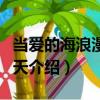 當愛的海浪漫過夏天（關于當愛的海浪漫過夏天介紹）