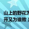 山上的野花為誰開又為誰敗（山上的野花為誰開又為誰敗）