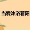 當愛沐浴著陽光（關于當愛沐浴著陽光介紹）
