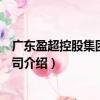 廣東盈超控股集團有限公司（關于廣東盈超控股集團有限公司介紹）