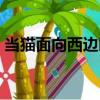 當貓面向西邊時（關于當貓面向西邊時介紹）