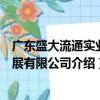 廣東盛大流通實業發展有限公司（關于廣東盛大流通實業發展有限公司介紹）