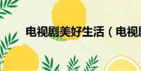 電視劇美好生活(電視劇美味人生)