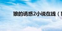 狼的誘惑2小說在線(狼的誘惑2)