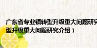 廣東省專業鎮轉型升級重大問題研究(關于廣東省專業鎮轉型升級重大問題研究介紹)