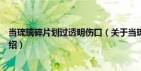 當琉璃碎片劃過透明傷口(關于當琉璃碎片劃過透明傷口介紹)
