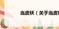 當皮襖(關于當皮襖介紹)