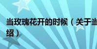 當玫瑰花開的時候(關于當玫瑰花開的時候介紹)