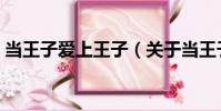 當王子愛上王子(關于當王子愛上王子介紹)