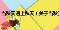 當秋天遇上秋天(關于當秋天遇上秋天介紹)