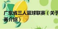 廣東省三人籃球聯賽(關于廣東省三人籃球聯賽介紹)