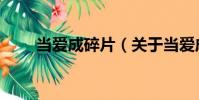 當愛成碎片(關于當愛成碎片介紹)