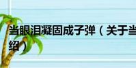 當眼淚凝固成子彈(關于當眼淚凝固成子彈介紹)