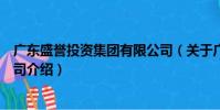 廣東盛譽投資集團有限公司(關于廣東盛譽投資集團有限公司介紹)