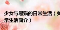 少女與黑貓的日常生活(關于少女與黑貓的日常生活簡介)