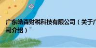 廣東皓森財稅科技有限公司(關于廣東皓森財稅科技有限公司介紹)