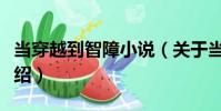 當穿越到智障小說(關于當穿越到智障小說介紹)